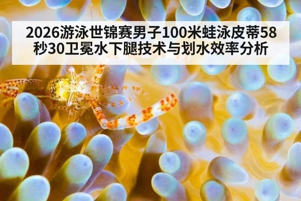 2026游泳世锦赛男子100米蛙泳皮蒂58秒30卫冕水下腿技术与划水效率分析 - KAIYUN SPORTS