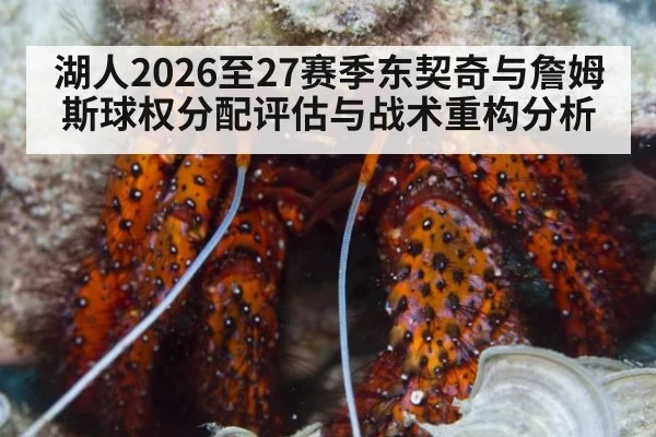 湖人2026至27赛季东契奇与詹姆斯球权分配评估与战术重构分析 - KAIYUN SPORTS